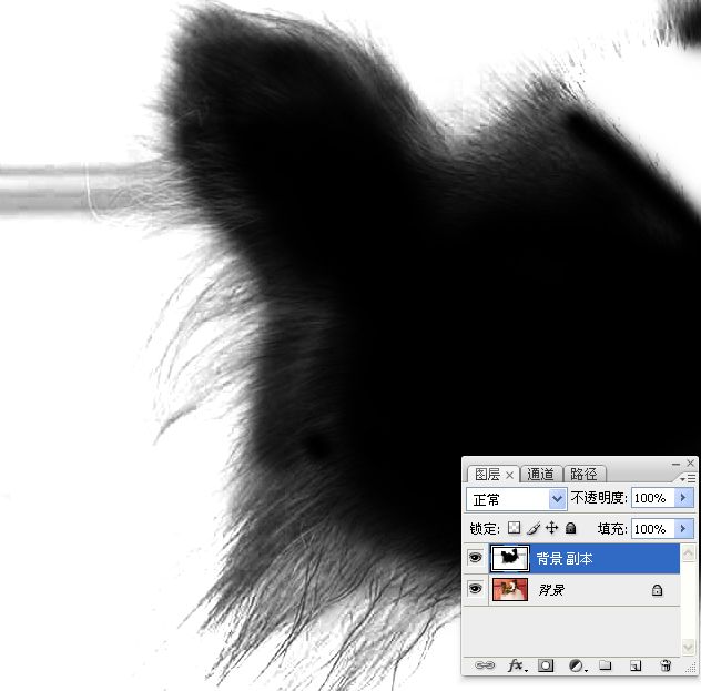 PS对毛发较多的宠物狗抠图14
