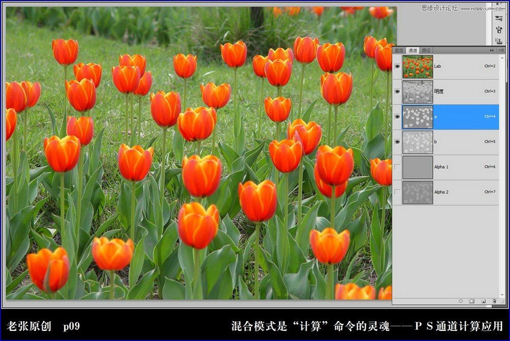 Photoshop详细实例解析计算命令的原理9