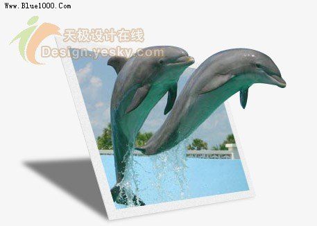 PS制作跃出照片的海豚特效12