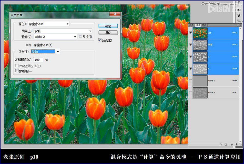 Photoshop利用计算命令计算出精确选区调整图片颜色10