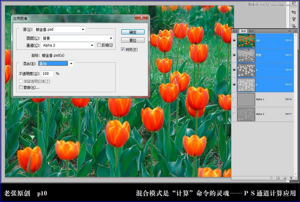 Photoshop详细实例解析计算命令的原理10