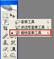 ps怎么使用索套工具？6