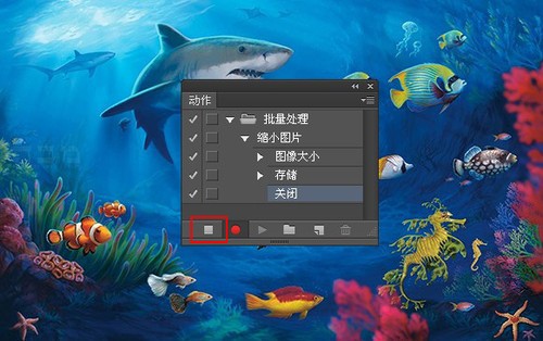 如何使用photoshop批量处理摄影图片6