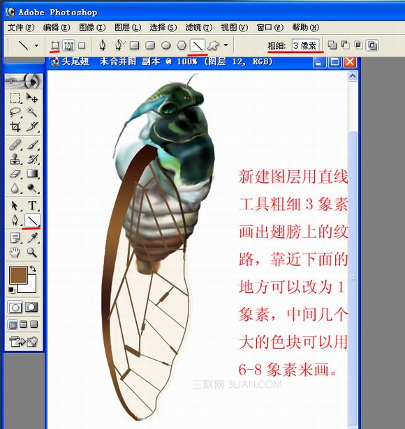 Photoshop绘制一只真实的蝉27