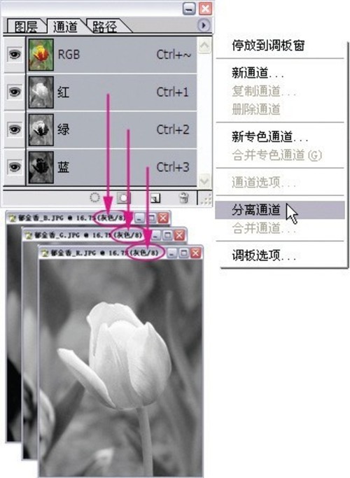 从入门到精通深度剖析PS通道5