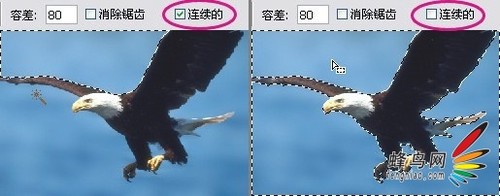 photoshop选择工具详解7