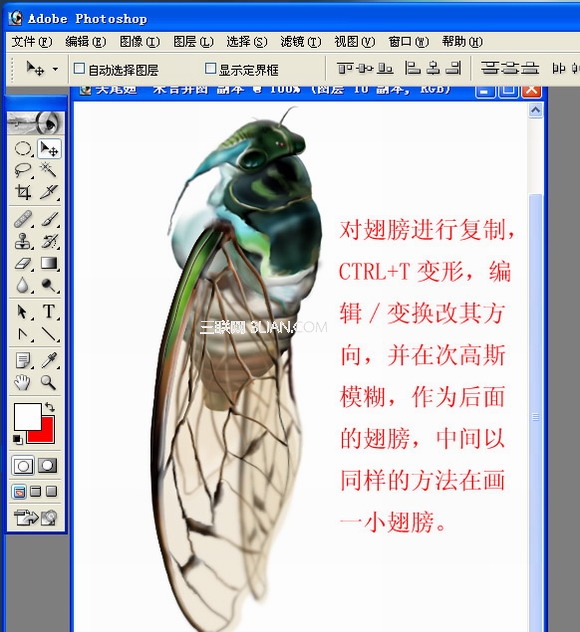 Photoshop绘制一只真实的蝉30