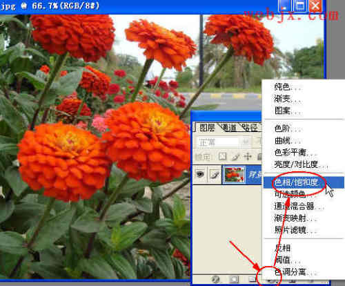 Photoshop 颜色遮照实现部分彩色特效照片2