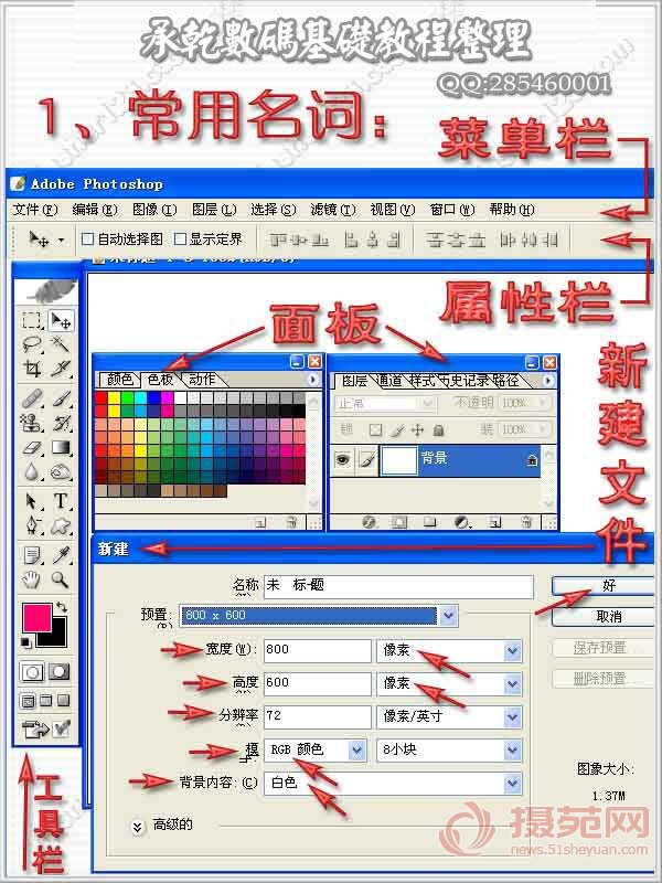 新手必看的工具使用方法及基础操作1