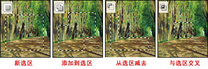 photoshop选框工具教程5