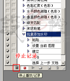 photoshop给图片批量加水印8