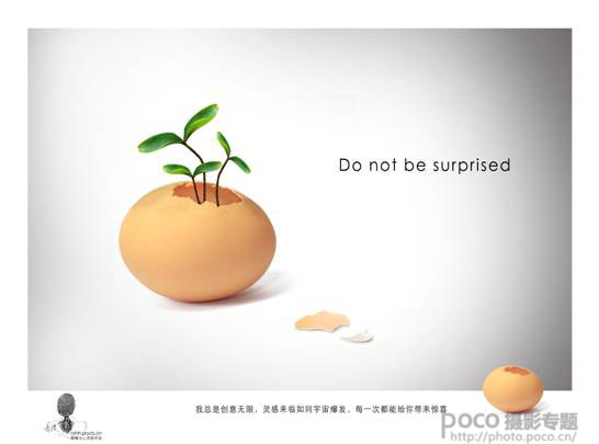 PS制作蛋壳里的植物创意食品安全宣传海报1
