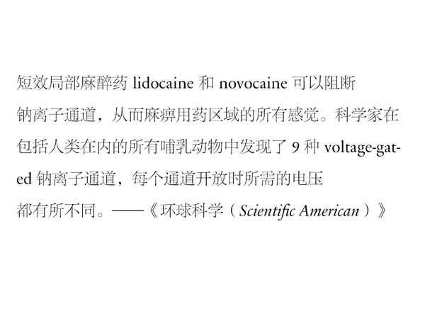 哪种字体最适合快速阅读？（附搭配建议）3