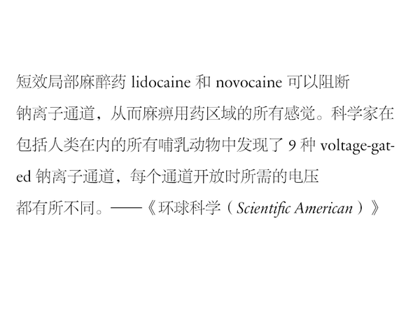 哪种字体最适合快速阅读？（附搭配建议）4