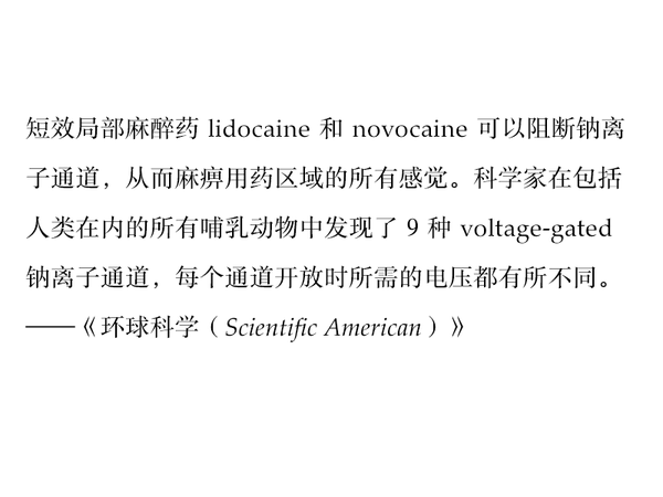 哪种字体最适合快速阅读？（附搭配建议）13