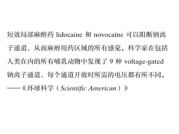 哪种字体最适合快速阅读？（附搭配建议）11