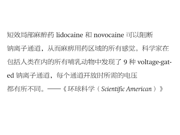 哪种字体最适合快速阅读？（附搭配建议）7