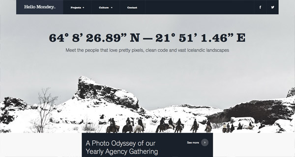 20个融合雪景元素的网站设计4