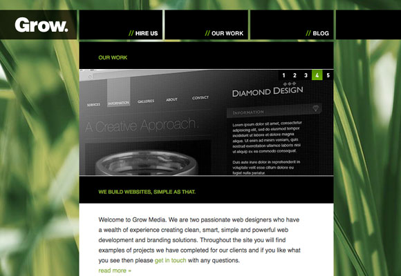 网页设计配色剖析之绿色54
