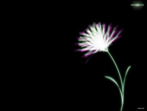 Fireworks制作X－ray暗黑中的花朵1