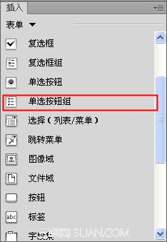Dreamweaver插入单选按钮和单选按钮组4