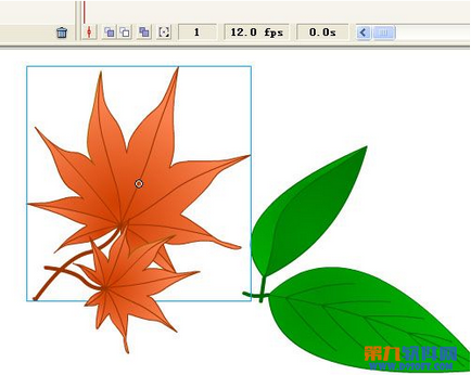 如何利用Flash鼠绘不同颜色树叶10
