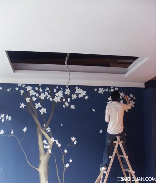 家居墙面刷漆施工过程1