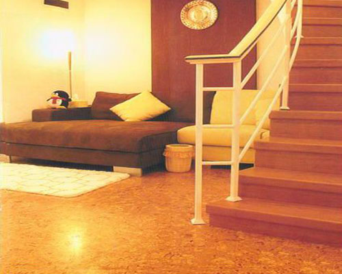 软木地板适合家中哪些地方用2