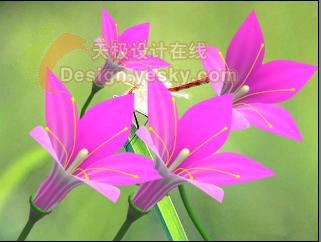 学用3DsMax制作立体鲜花19