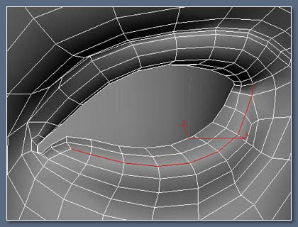 3DsMax制作逼真美女眼睫毛的方法2