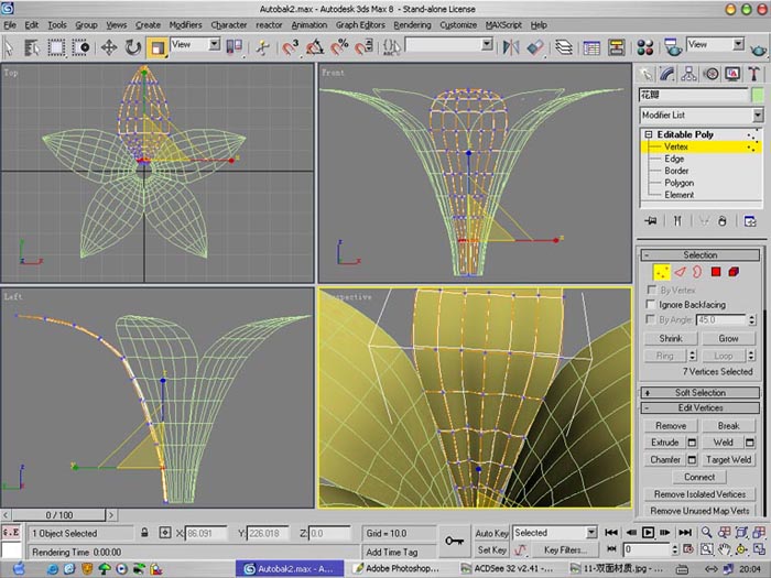 3DSMAX制作兰花13