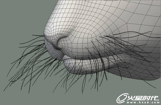 3dsmax绘制毛色亮丽视觉冲击感强的3D老虎7