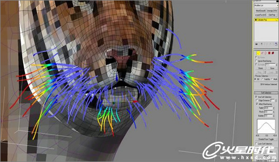 3dsmax绘制毛色亮丽视觉冲击感强的3D老虎6