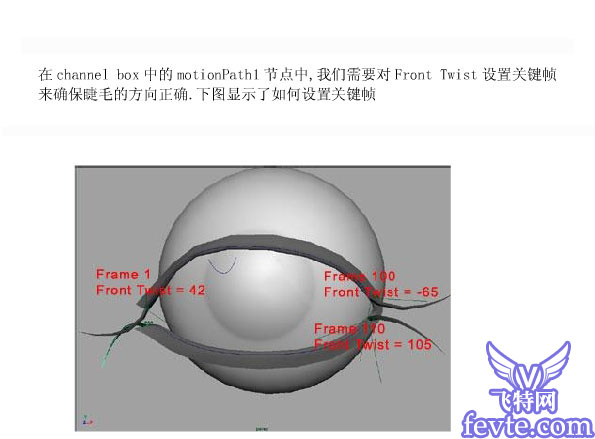 Maya制作眼睫毛11