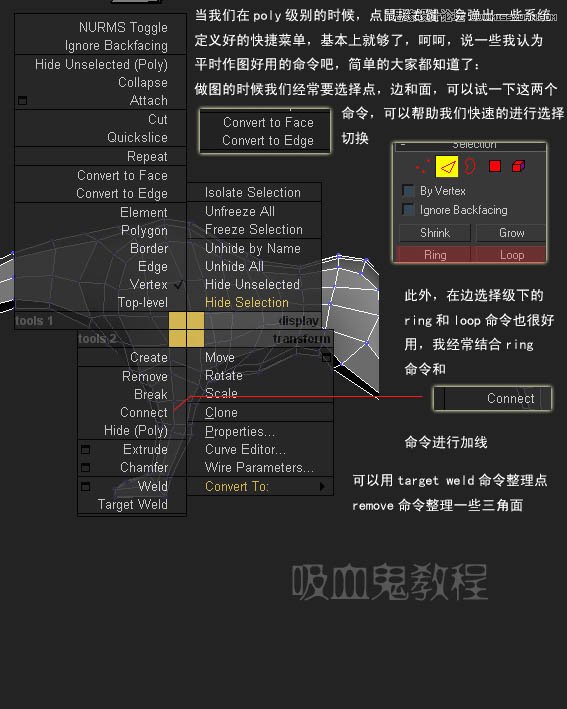 3ds MAX实例教程：多边形建模小狗4