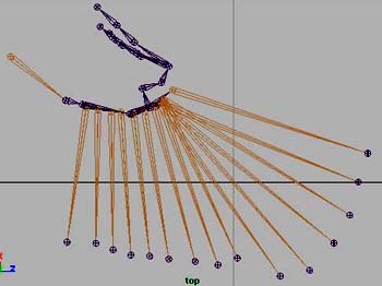 Maya制作鸟类翅膀骨骼7