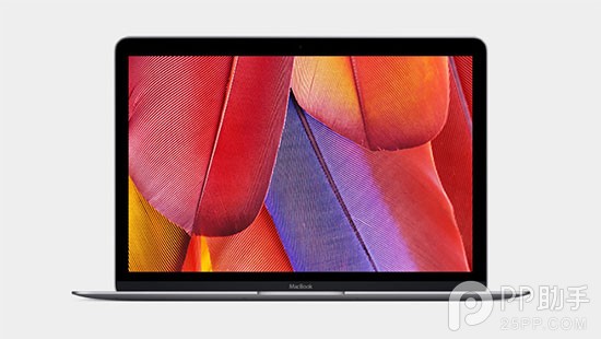 苹果春季发布会视频图文直播 新Macbook 1299美元起20