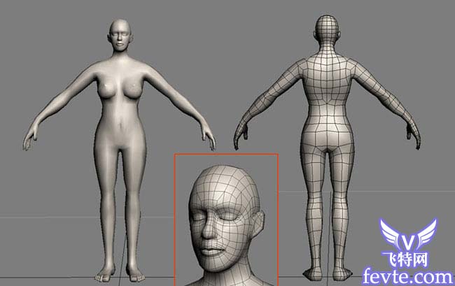 3DMAX加zbrush美人如花 GArena3