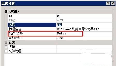 IIS FTP部分文件上传报错451的解决方法2