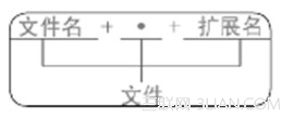 什么是图片病毒？1