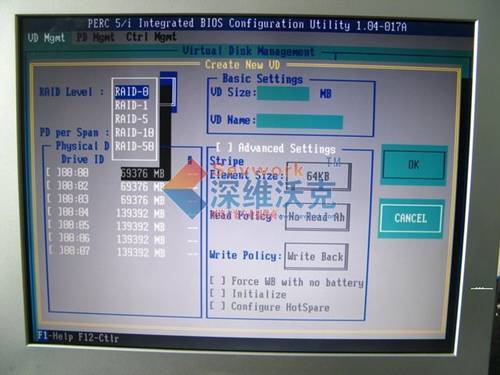 DELL 5I/6I阵列卡快速设置图文教程4