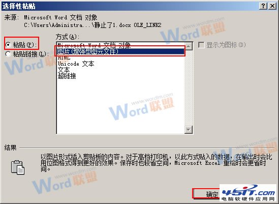 怎么把Word的内容以图片格式插入到Excel2010中?3