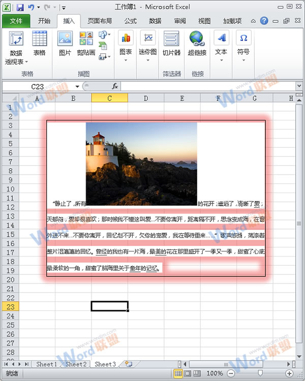 怎么把Word的内容以图片格式插入到Excel2010中？7