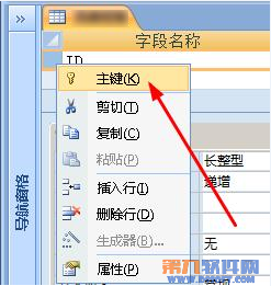 Access如何在字段定义主键4