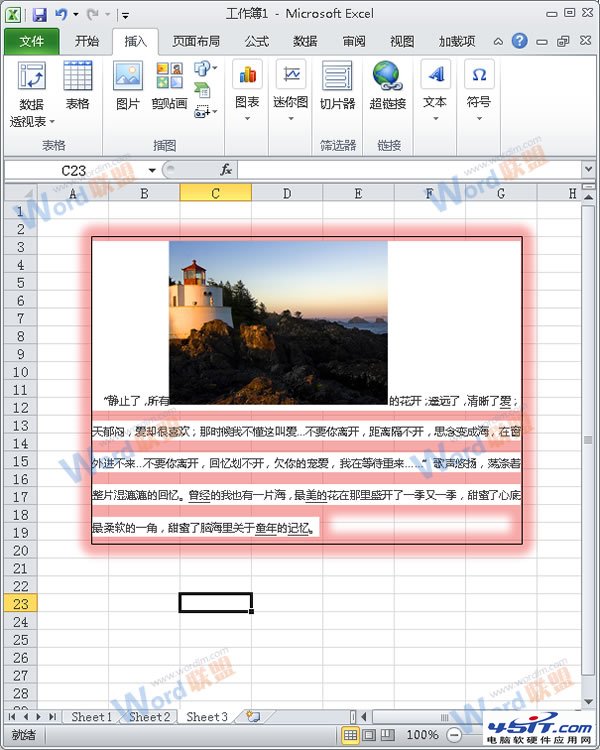 怎么把Word的内容以图片格式插入到Excel2010中?7