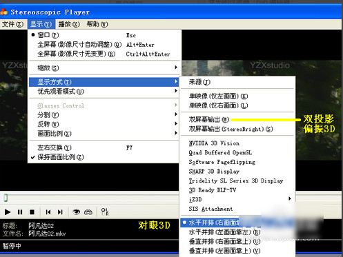 stereoscopic player怎么设置6