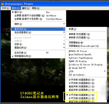 stereoscopic player怎么设置4