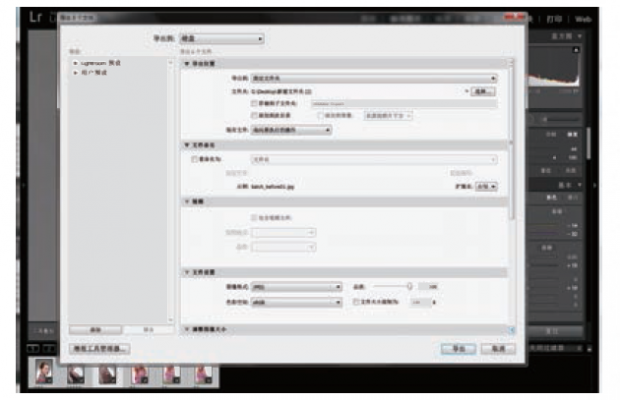 如何使用Lightroom批量处理照片7