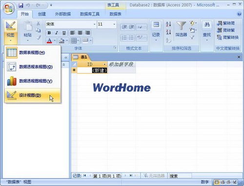 Access2007表的数据表视图和设计视图1