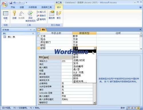 Access2007表的数据表视图和设计视图3